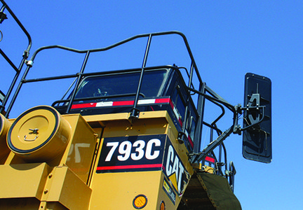 Cat793Mirror.jpeg